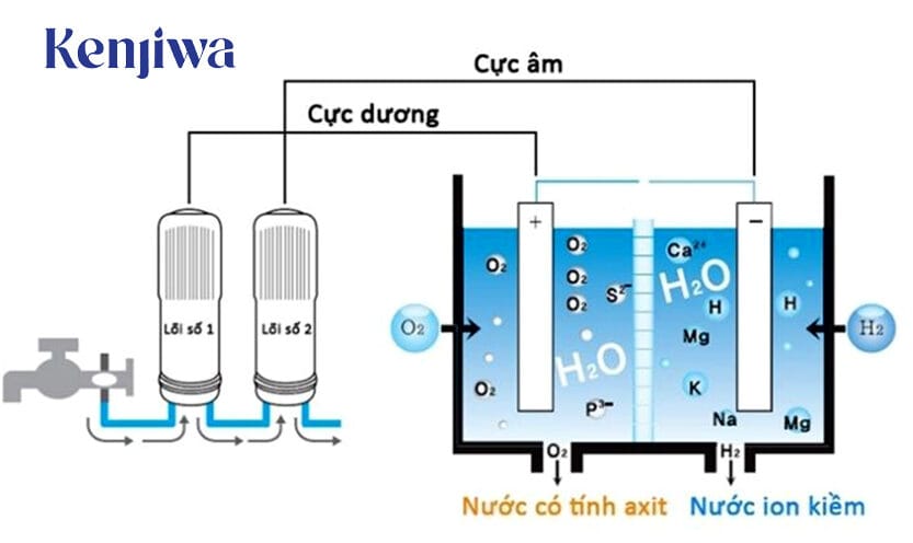 Nước Ion Kiềm: Bí Quyết Sống Thọ, Sống Khỏe Không Phải Ai Cũng Biết 2 điện phân nước kiềm